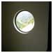 circle